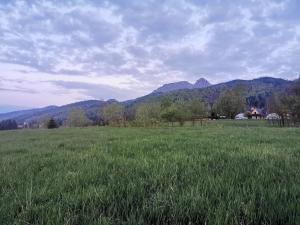 Glamp Siedlisko Kościelisko