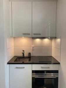 Furnished studio with garden Seefeld close to lake