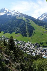 Appartements Appartement d'une chambre avec jardin amenage et wifi a La Perriere Courchevel a 5 km des pistes : photos des chambres