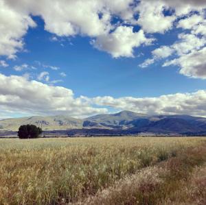 Casa turística Me quedo en el pueblo