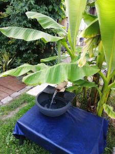 B&B / Chambres d'hotes Jacuzzi Massage sur rdv,Duo,reiki,californien, reflexologie plantaire, et bouteille mousseux offerte : photos des chambres