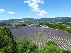 Maisons de vacances Cottage in Luberon near Apt Market : photos des chambres