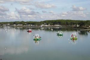 Maisons de vacances Holiday Home, La Trinite-sur-Mer : photos des chambres