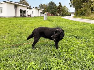 Modern Beach Cottage in Tofta, Gotland
