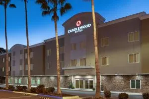 Candlewood Suites - Safety Harbor by IHG - ديوندين