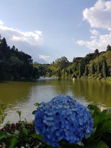 APARTAMENTO DO LAGO NEGRO