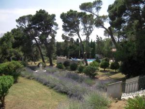 Maisons de vacances Grenache cottage for 4 people in the heart of the vineyard : photos des chambres