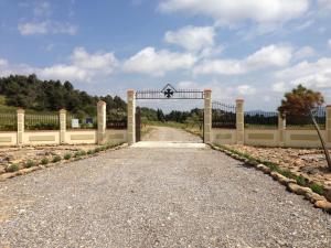 Maisons de vacances Grenache cottage for 4 people in the heart of the vineyard : photos des chambres