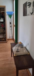 Appartements Gite des etangs de Saint Bale : photos des chambres