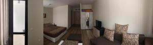 Borovets Gardens apartment A20