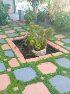 Mitchells Guesthouse