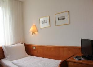 Single Room room in Hotel Kurpfalzstuben