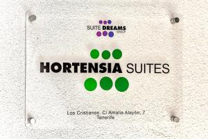 Luxury Penthouse sea view, Los Cristianos