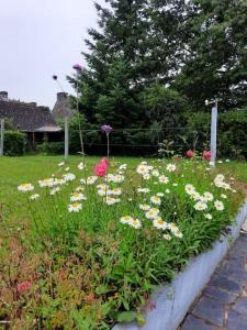 Maisons de vacances Gite des 4 saisons en Broceliande : photos des chambres