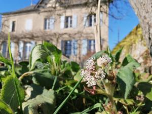 B&B / Chambres d'hotes Le Temps Serein : photos des chambres