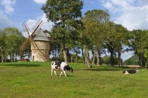 Windmill Stay near Goelo Coast Beaches