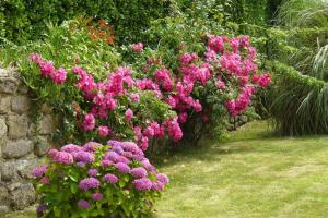 Maisons de vacances Holiday Home in Plouarzel near Sandy Beach : photos des chambres