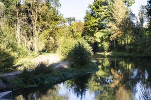 Maisons de vacances Charmant Moulin avec SPA 15 min de Tours : photos des chambres