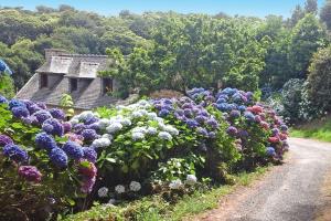 Maisons de vacances Cottage, Bugueles-Penvenan : photos des chambres