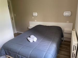 Hotels Hotel Les Chenes : photos des chambres