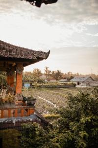 Mandala Desa