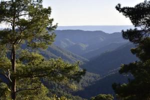 The Mountain House - Escape city life