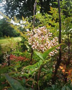 Cabane chic et romantique MERLOT près de Bordeaux
