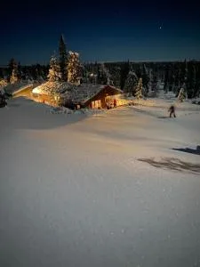 Hytte sentralt Ljøsheim, Ringsaker(nær Sjusjøen) - Ringsaker