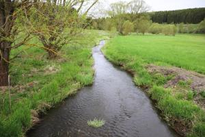 Ferienwohnung Hexenzauber I in Braunlage