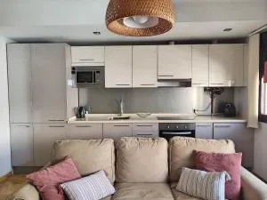 Amplio y Moderno Apartamento Lorenzo Ferreira - 蒙托罗