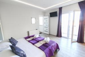 Apartments Viola 