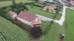 Vadvirág vendégház - Iklódbördőce