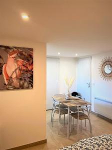 Appartements Studio Le Plum'Art, 10mn Zoo de Beauval avec jardin : photos des chambres