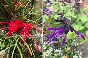 Maisons de vacances Domaine Les Bastidons : photos des chambres