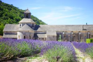 Hotels La Begude Saint-Pierre : photos des chambres