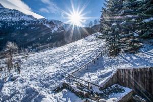Appartements Family Apt With Superb View On The Mont Blanc : photos des chambres