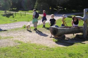 Apartment in Wildschönau by Schatzberg Lift