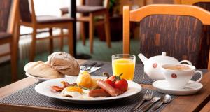 Hotel Concertino Zlatá Husa Jindřichův Hradec Czech - 