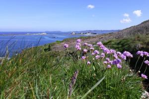 Maisons de vacances Stone House near Rosa Granite Coast : photos des chambres
