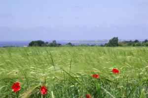 Maisons de vacances Cottage, Tredrez-Locquemeau : photos des chambres