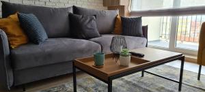 City Apartment Anton Pann