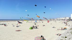 Appartements studio Berck Plage d'Opale : photos des chambres