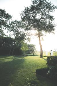 Vakantiehuis NIEUWHOF