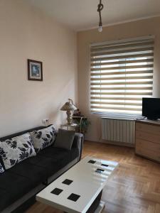 STIV, Voždovac, Stepa Stepanovic