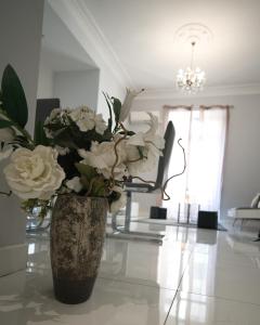 Designer Flat Nice