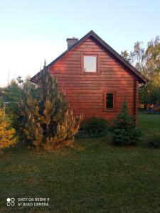 Malinowa Przystań domek drewniany z ruską banią