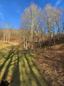 Cozy Cabin Near Grayson Highlands State Park