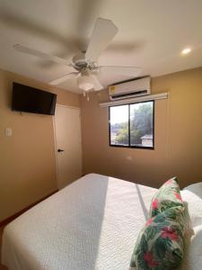 Apartaestudios - Casa Tamarindo