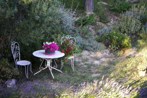 Maisons de vacances Cottage in Bellegarde near Camargue Reserve : photos des chambres