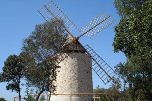 Maisons de vacances Cottage in Bellegarde near Camargue Reserve : photos des chambres